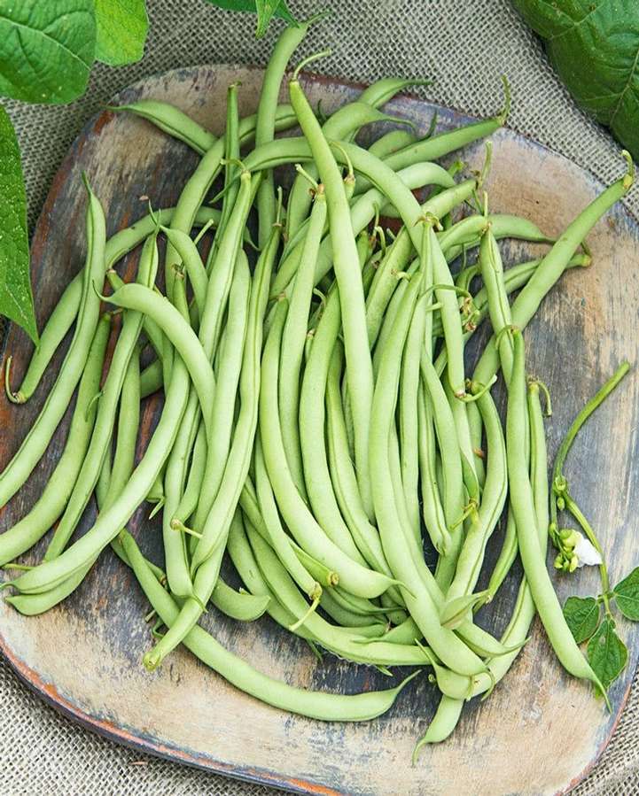 Green Beans